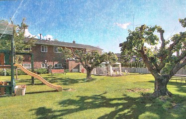 The large, flat, and sunny backyard